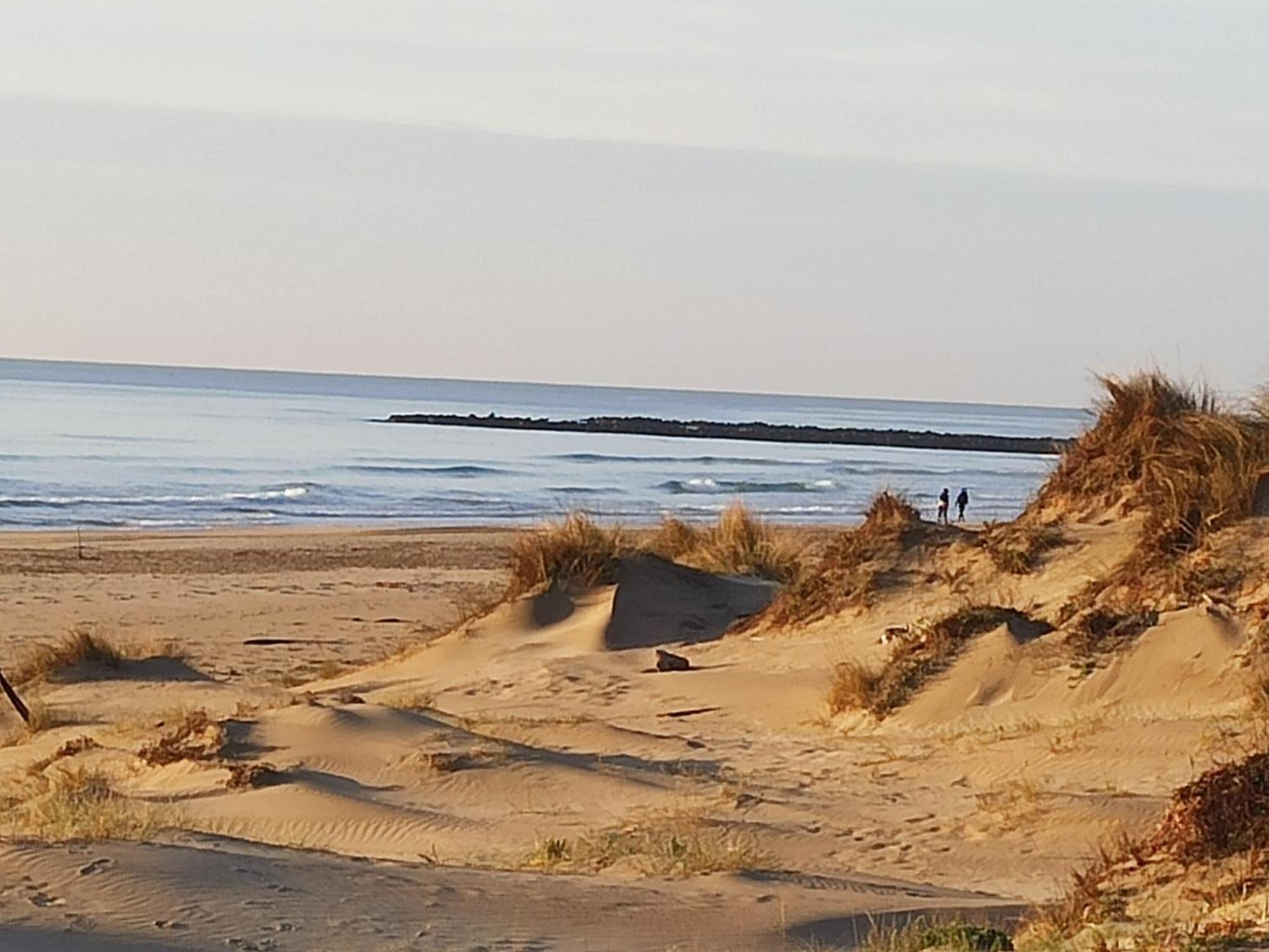T2 Rdc Avec Jardin, Cap D'Agde, Secteur Falaise, 100 M Plage, Clim, Wifi, Parking Экстерьер фото